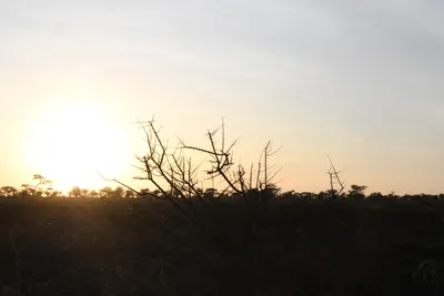 DSC_3744 (Large).JPG